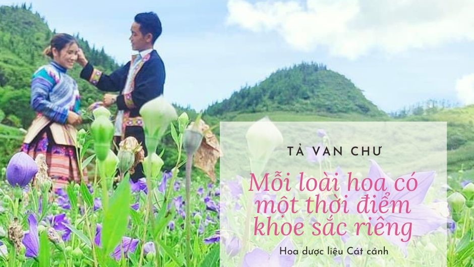 Doanh nghiệp dược liệu VIETRAP