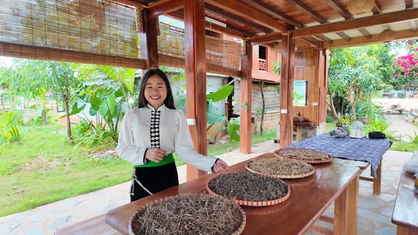 Lub hauv ncoo tshuaj thiab txoj kev hloov pauv số los hauv lub siab