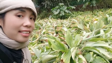 Toj siab lub paj saum Huab cua: Tus niam Lò Thị Bưởi txoj kev hloov pauv so ntawm E&nbsp;Farm