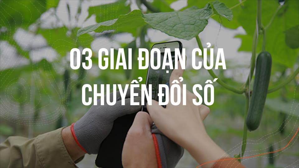 HLOOV PAUV SỐ LI 03 THEEM 