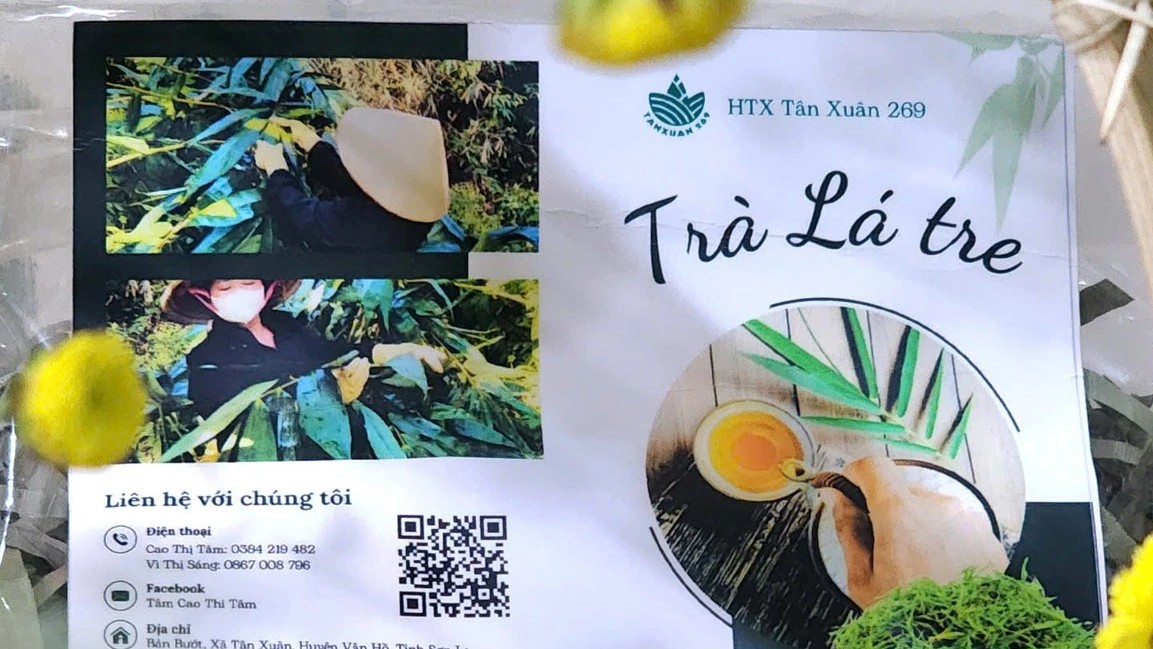 HTX Tân Xuân 269 – Tiên phong Đổi Mới dòng doanh thu trong Mô hình kinh doanh số với Trà lá tre