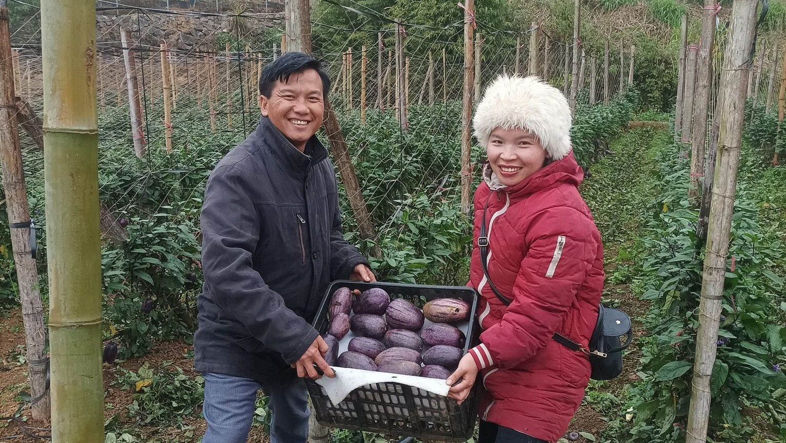 Kể câu chuyện mỗi ngày – Cách chị Thu Hà xây dựng niềm tin cho Thuận Thiên Farm