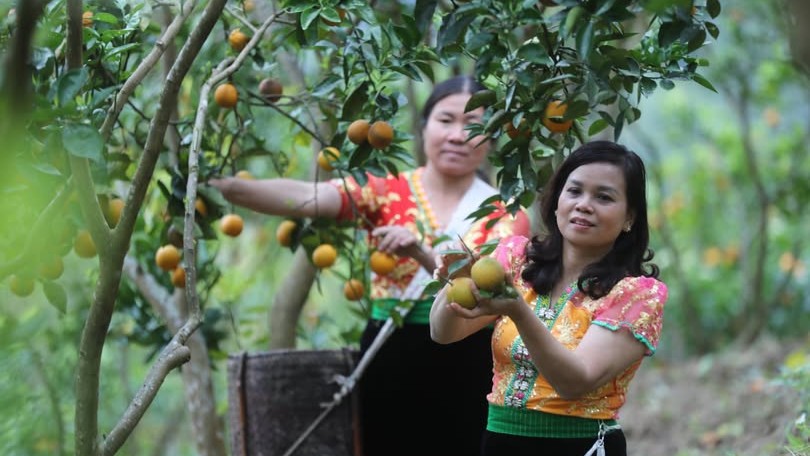 Hạt mầm chuyển đổi số trong lòng các tổ chức hỗ trợ tại địa phương – Câu chuyện ở Trung tâm Đổi mới sáng tạo Sơn&nbsp;La